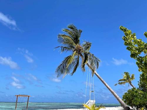 Maldivers Dhiffushi