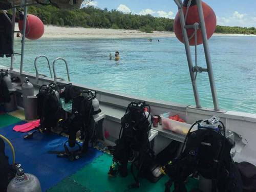 Blue Mystic Divers