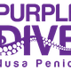 Purple Dive Penida