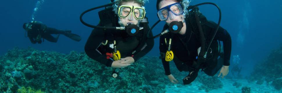 Let's Dive Center