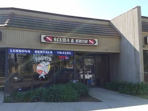 Sharky's Scuba & Swim