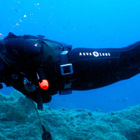 Guru Dive Dalış Eğitim Merkezi