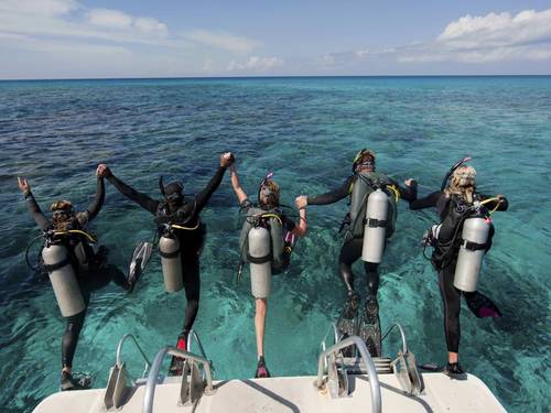 A-1 Scuba Diving & Snorkeling Adventures