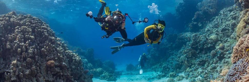Dive In Sharm El Sheikh - Centro Diving e Crociere subacquee