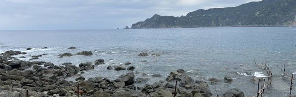 KOGANEZAKI DIVE CENTER