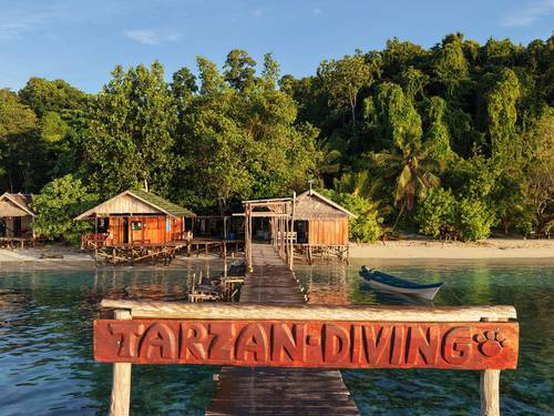 Tarzan-Diving Dive Center