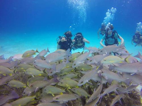 Cozumel Scuba Planet