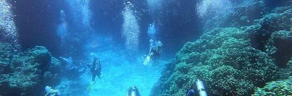 Aquarius Diving Club - Hurghada