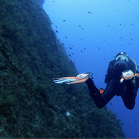 Orca Dive Club