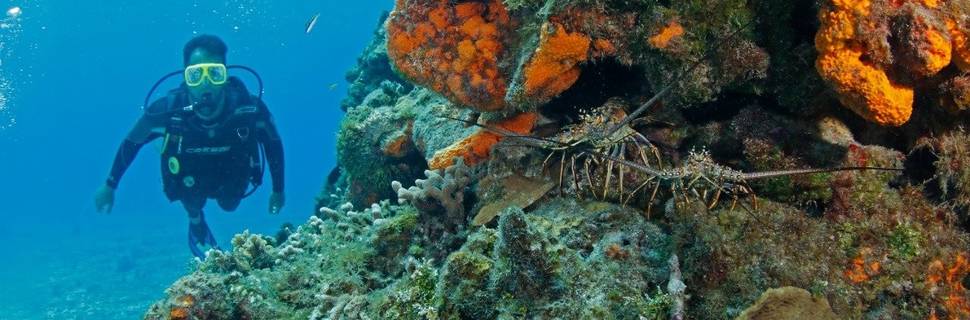 Be Diving