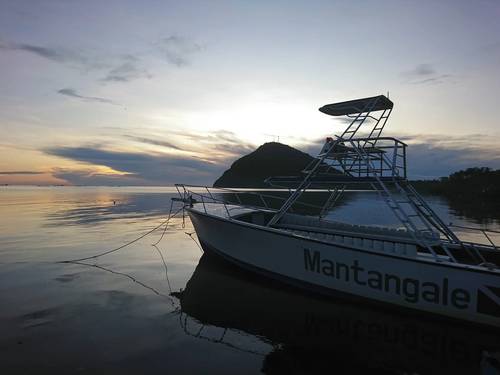 Mantangale Alibuag Dive Resort Inc.