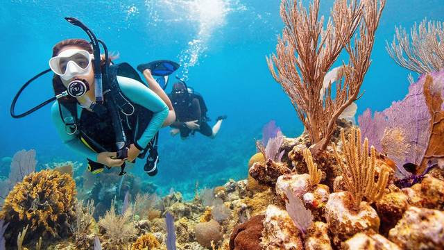 Dive Punta Cana