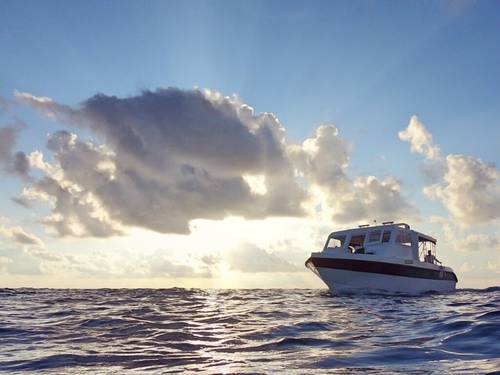 Thoddoo Diving Center (PDH Maldives) / Русский дайв-центр на Тодду