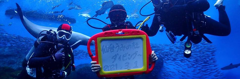 PRAZER DIVE SERVICE