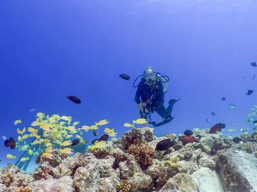 Summer Island Maldives