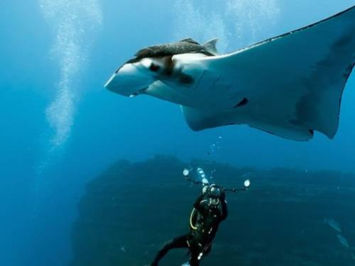 Divers Pro World GmbH