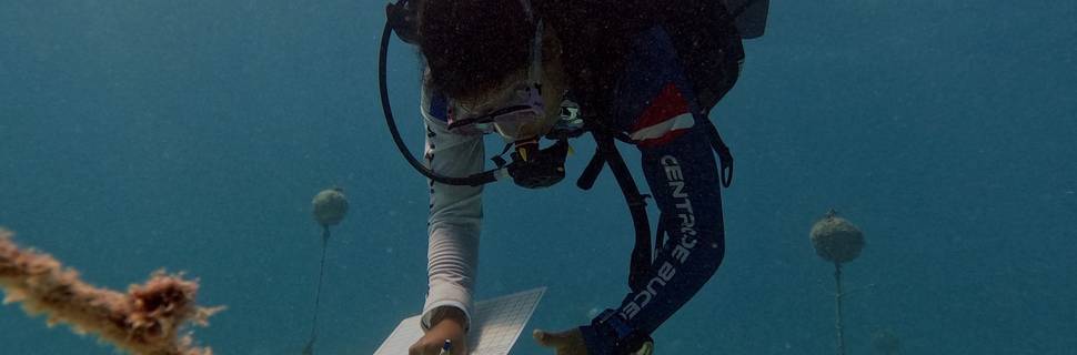 DivingLife Expeditions