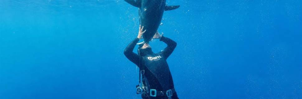 Club La Sirene