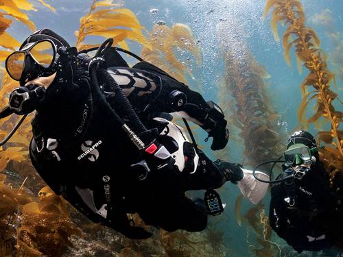 Dive Otago Ltd.