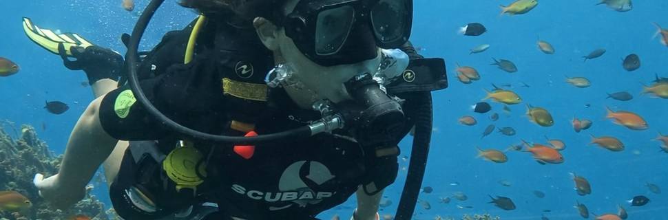 Bali Dive Cove
