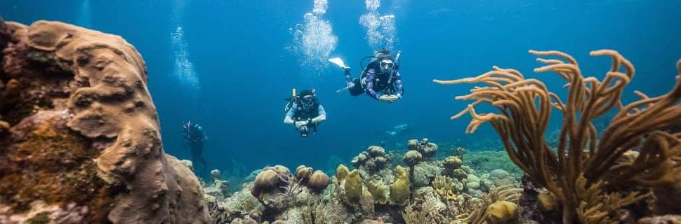 Barefoot Dive Center Cozumel