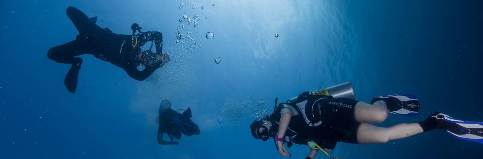 Putsker diving club