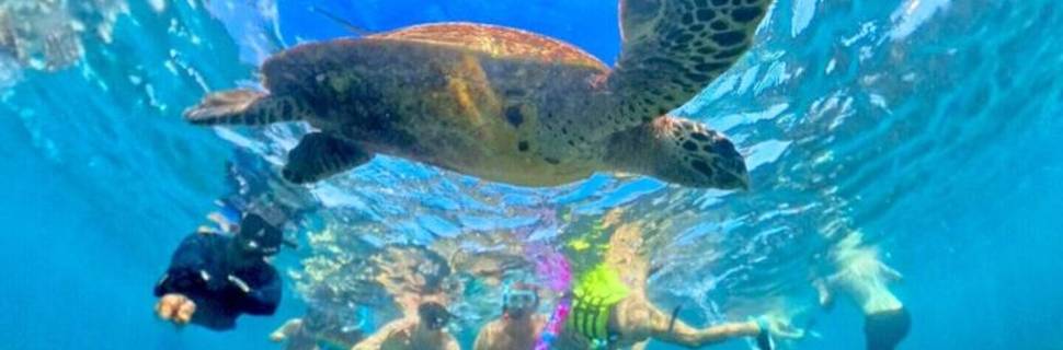 Sri Lanka Diving Tours, Negombo, PADI 5 Star IDC Center