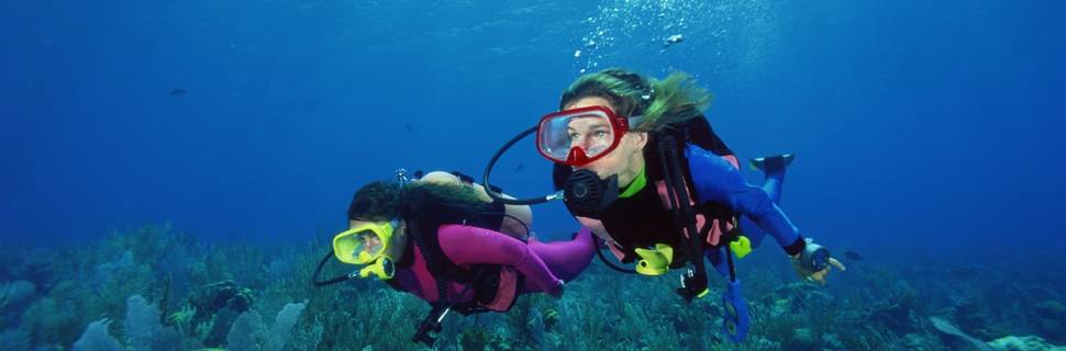 Blue Wave Diving