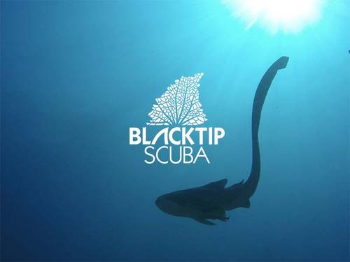 Blacktip Scuba Phi Phi