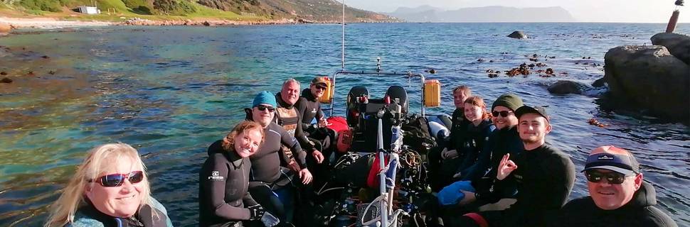 Dive Team