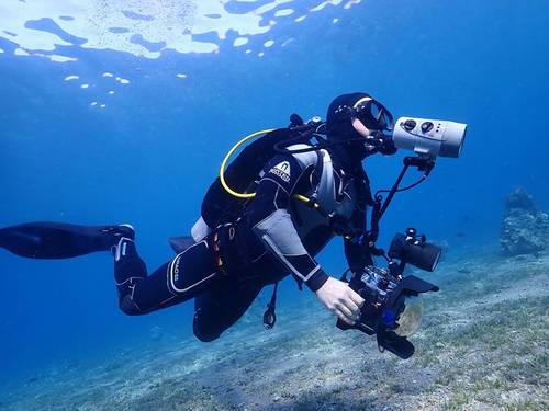 SeaStar Water Sports - Diving Center
