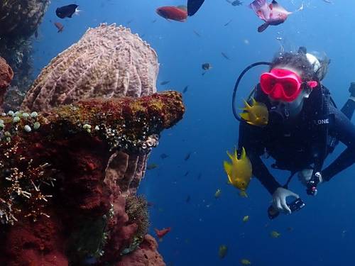 Intrinity Divers