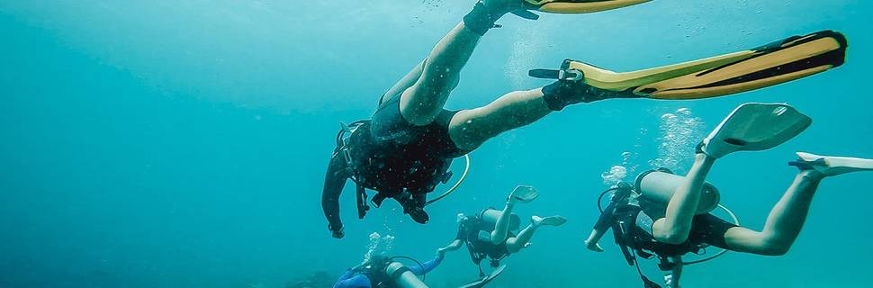 S.E. Aruba Fly'N Dive