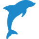 Flipper Diving Club