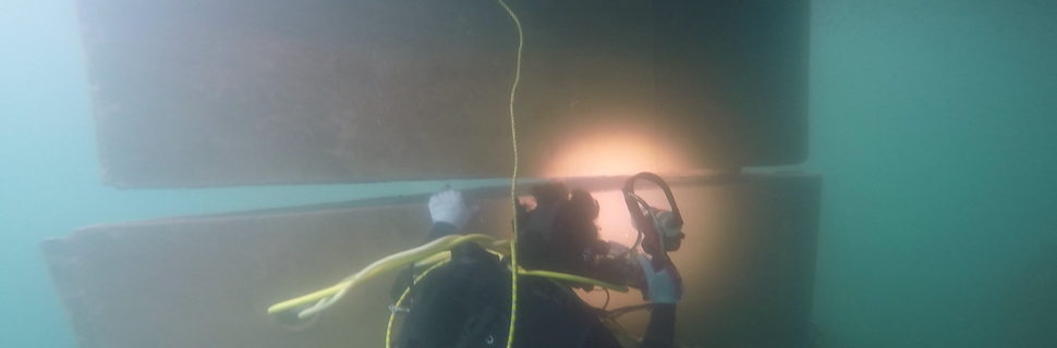 NEEL DIVING