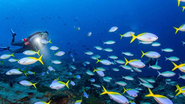 Legend Diving Penida