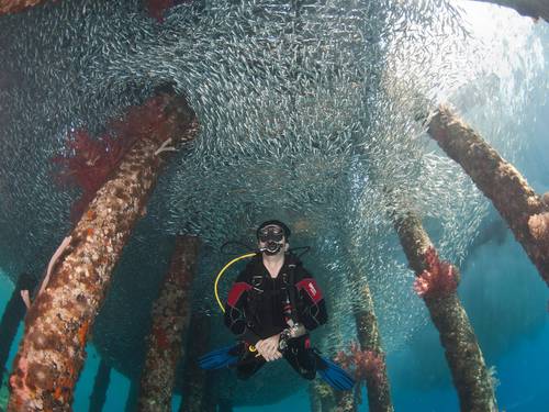 Aqaba Adventure Divers Resort & Dive Center