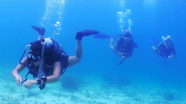 Turtle Town Scuba