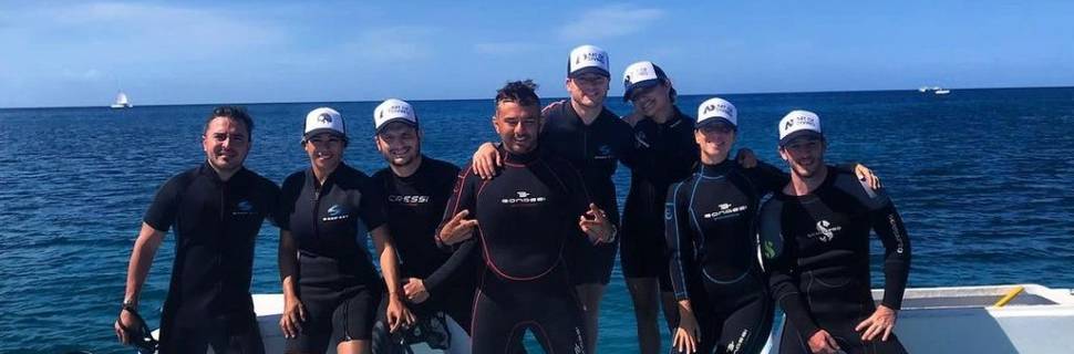 Art of Diving - Scuba diving in Punta Cana