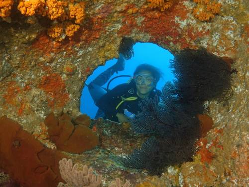Dive Cabo Pulmo