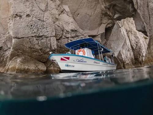 La Paz Explorer - Diving & Tours