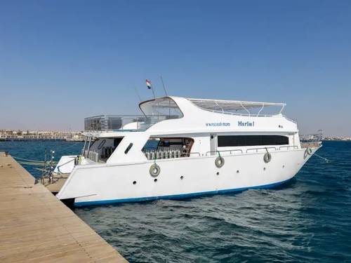 Red Sea Life Diving Center