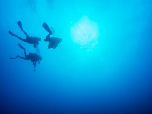 Eco Diving Center