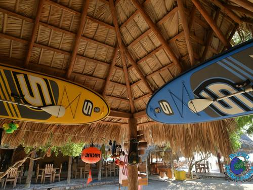 Scuba Diving Buceo Pedernales