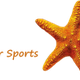 SeaStar Water Sports - Diving Center