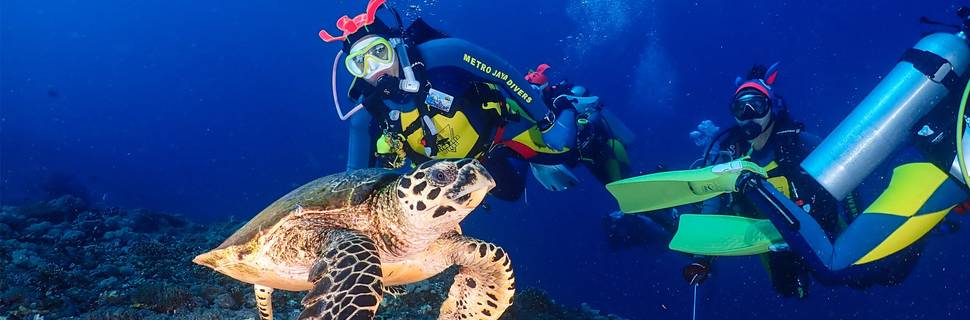 Wilu Dive Center
