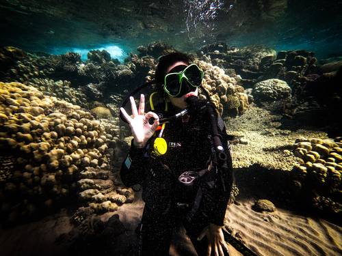 Sea Wonders Diving Center