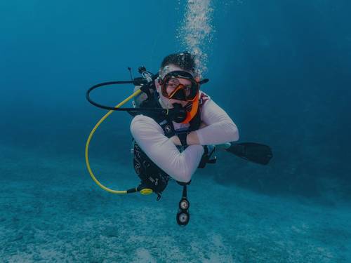 DiVE KS