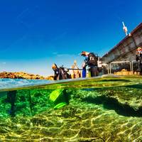 Paradise Diving Malta