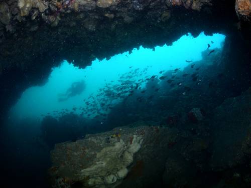 Orient Blue Dive Center